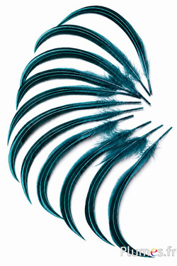Eend Mandarin - 15-20 cm - petrol